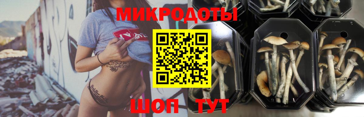 Коломна  Галлюциногенные грибы ЛСД  Вход с VPN 